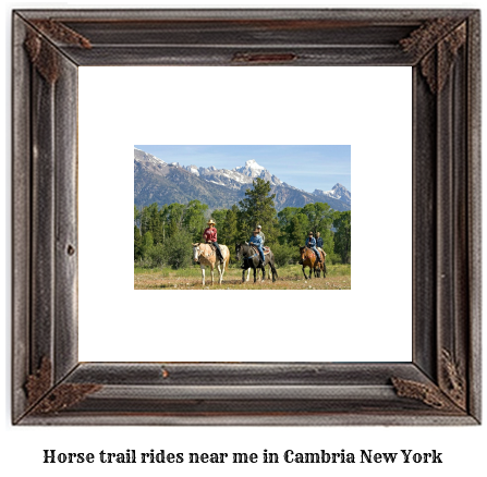 horse trail rides near me in Cambria, New York